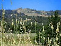 PVR Windy Hill  3.JPG
