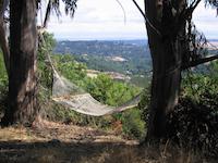img_001_0121_21 Blue Oaks view from Arooyo trail.JPG