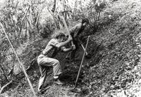 Cutting trail at PVRanch.jpg