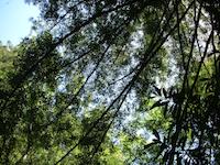 DSCN3163.JPG