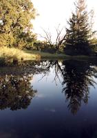 img_001_0108_196  PVR Lower pond.jpg