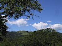 Windy Hill 12.jpg