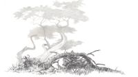 GAL-032d_TIF_MSTR.tif