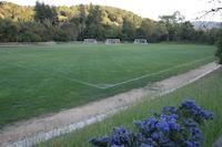 IMG_7075.JPG