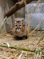 IMG_9318.jpeg