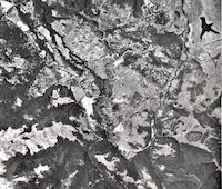 AER-080d_1960.jpg