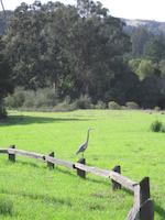 IMG_7872.JPG