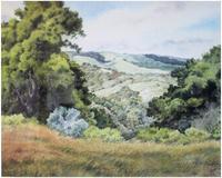 Jane Gallalgher Windy Hill.jpg