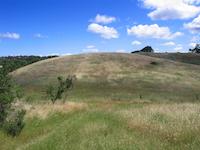 Hill on Woods Estate.JPG