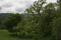 img_001_0139_227 Residence setting.JPG
