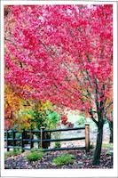 SUS-061p_TIF_MSTR.tif