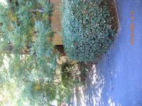IMG_0427.JPG