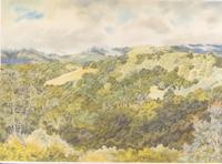 Portola Valley  Queens view(P).tif