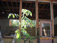 IMG_0565.JPG