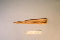 Ohlone bone Awl.tif