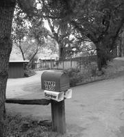 mailbox_near_break_Alpine.JPG