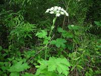 DSCN3263.JPG