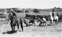FAR-017c1p_Cattle roping 1921.tif
