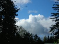 DSCN3046.JPG