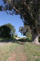 IMG_7090.JPG