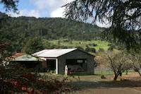 Jelich barn.jpg