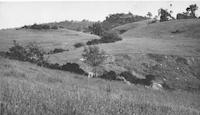 ROL-015Lc2p_TIF_MSTR.tif