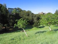 img_001_0154_242  Residence setting.JPG