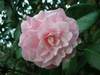 DSCN3017.JPG