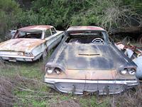 The Woods' car lot 10.JPG