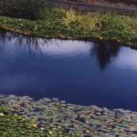 Fogarty pond.jpg