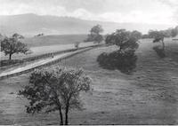 Portola Road Vista2.tif