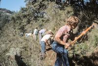 10Using Pickles and Mattocks to Build Toyon Trail,  ca 1979_DanQuinn.jpg