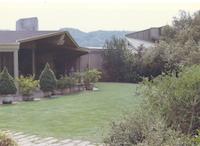 BOR-029d_JPG_MSTR.jpg