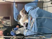 IMG_1362.jpeg