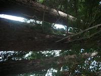 DSCN3246.JPG
