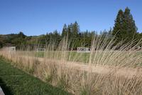 Priory playing field.JPG
