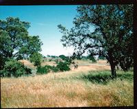 DEN-034c2p_TIF_MSTR.tif