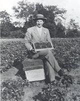 Dan Nahmens and strawberries.tif