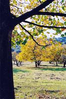 SUS-026p_TIF_MSTR.tif