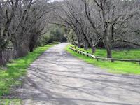 Kirk Neeley Entrance adjacent to N Sequoias.JPG