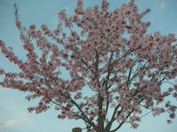 DSCN2356.JPG