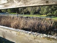 00 a peek thru fence to pond.JPG