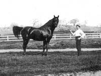ORM-024c2d Ormonde 1200  ppi v.6. e.jpg
