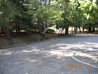 IMG_0581.JPG