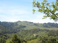 IMG_1438.JPG