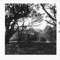 ALL-003c1p_TIF_MSTR.tif