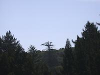 MOR-018d_JPG_MSTR.jpg