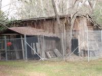 P2047373_backyard.jpg