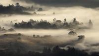 SCE-081d_Fog.jpg