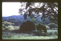 Portola Valley.tif